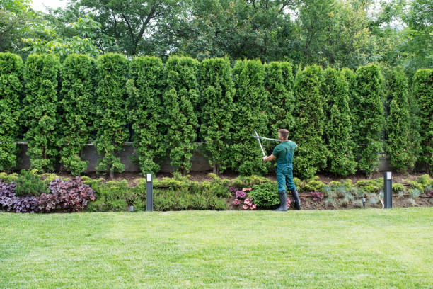 Best Tree Trimming and Pruning  in Summerde, AL